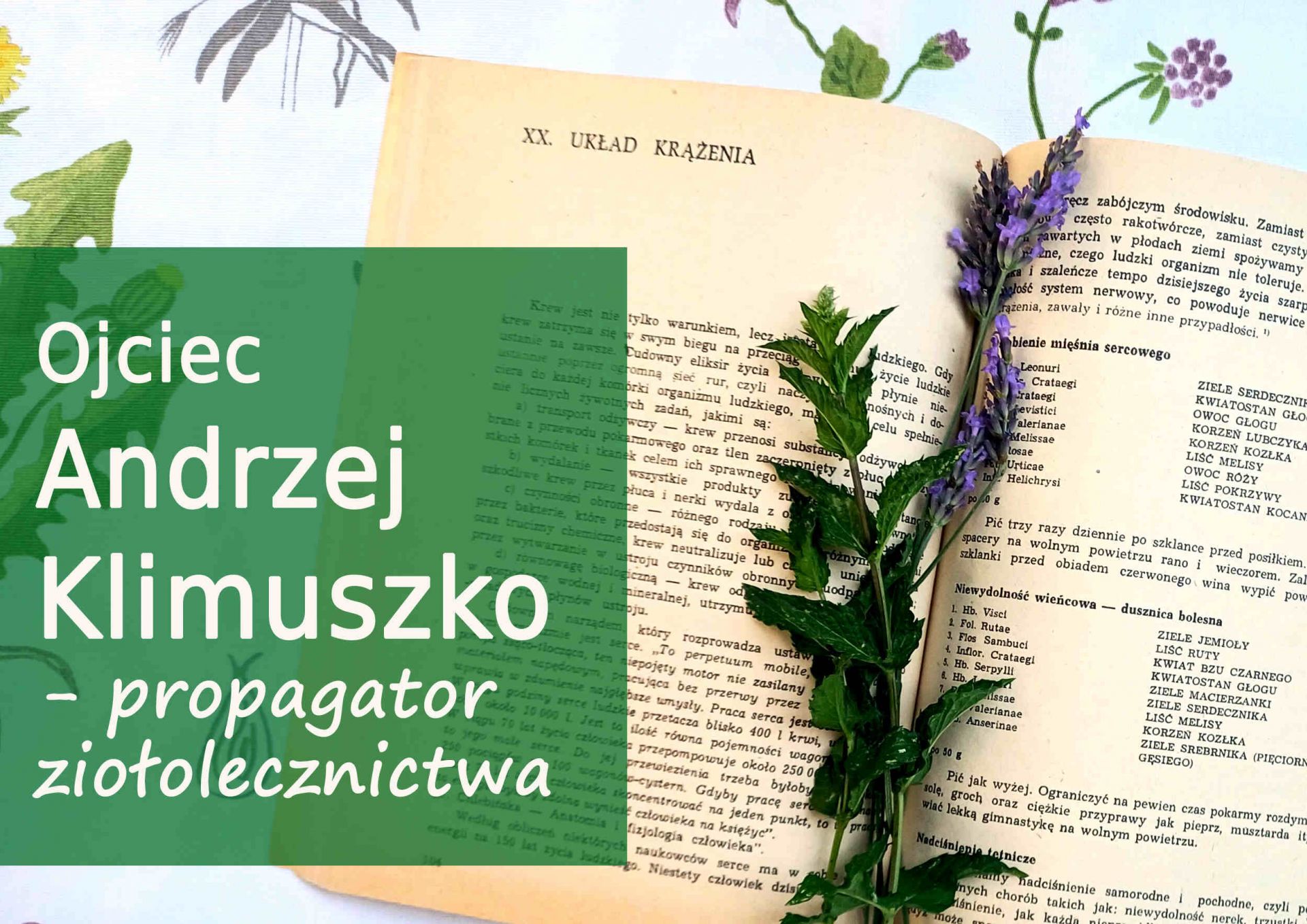 Ojciec Andrzej Klimuszko - propagator ziołolecznictwa - ojciec_andrzej_klimuszko_-_propagator_ziololecznictwa.jpg