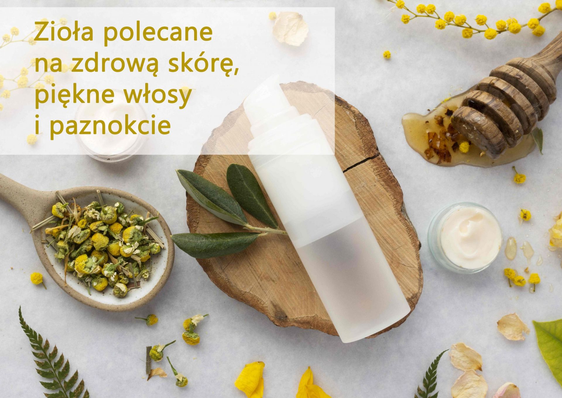 Zioła polecane na zdrową skórę, piękne włosy i paznokcie - ziola_polecane_na_zdrowa_skore_new.jpg